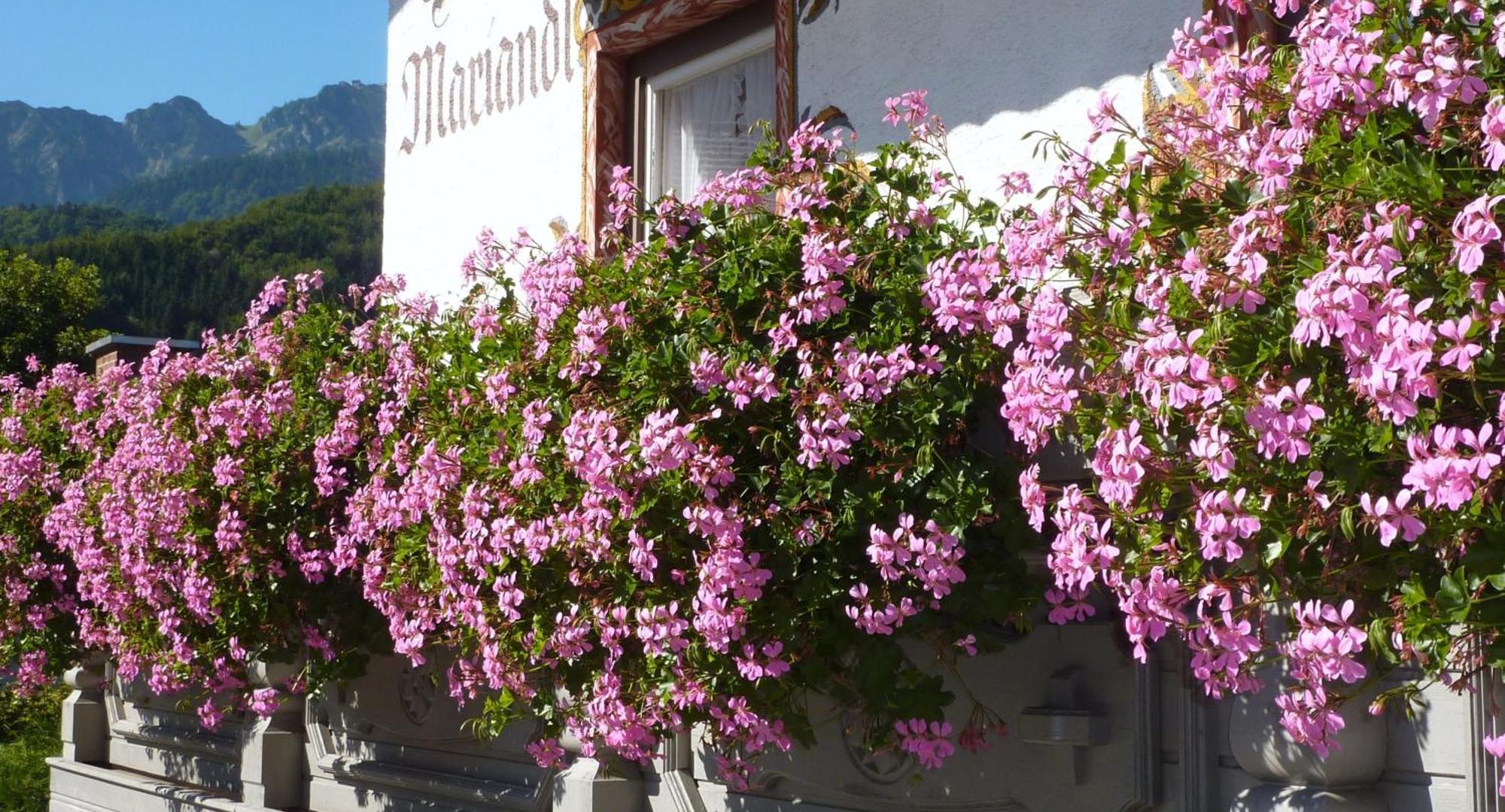 Hotel Mariandl ベルゲン エクステリア 写真